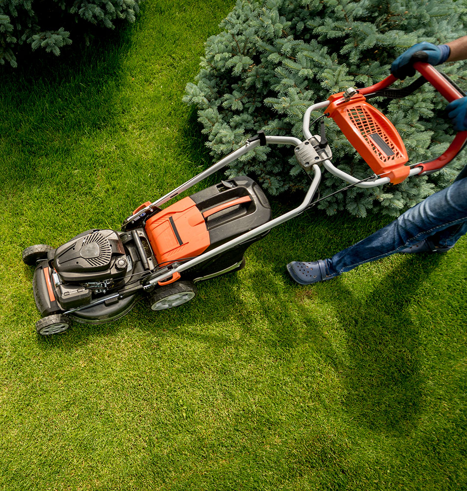 Gardener mowing lawn with push mower