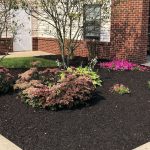 Landscaping and mulching completed by Cleaning By Carrie